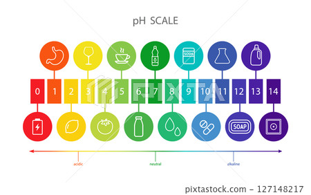 PH value Scale chart. Liquid level, litmus color change. Ph food analysis or chemical test. Vector illustration in flat style PH value Scale chart. Liquid level, litmus color change. Ph food analysis or chemical test. Vector illustration in flat style 127148217