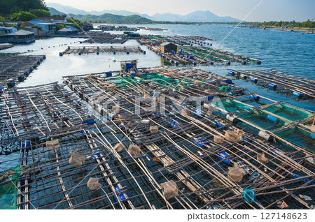 Shrimp and fish farming farm with fishing cages and nets on the water in sea bay in Vietnam in Asia in summer. Aerial view 127148623