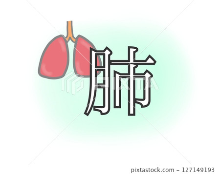 肺 127149193