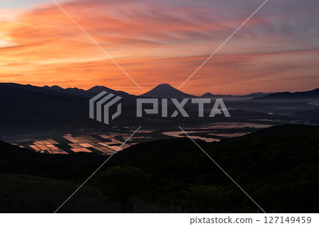 山羊Yotei在早晨發光 127149459