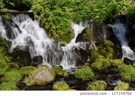 Spring of Mt. Yotei 127149766
