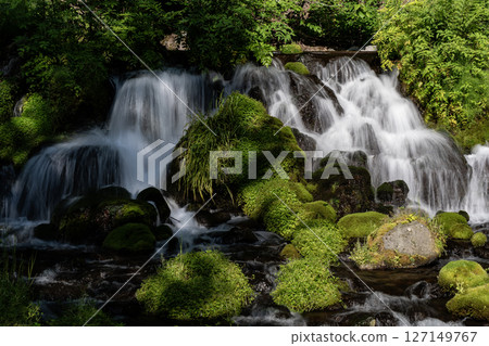 Spring of Mt. Yotei 127149767