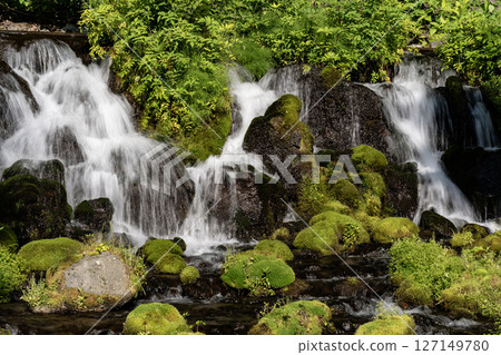 Spring of Mt. Yotei Spring of Mt. Yotei 127149780