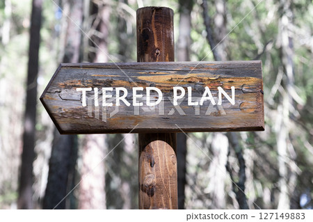 The TIERED PLAN concept phrase. Business concept. A place to copy. Basic concepts of finance. Business theme. Financial terms. The TIERED PLAN concept phrase. Business concept. A place to copy. Basic concepts of finance. Business theme. Financial terms. 127149883