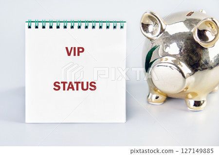 The VIP STATUS concept phrase. Business concept. A place to copy. Success,high-status, events, prestige,honor concept The VIP STATUS concept phrase. Business concept. A place to copy. Success,high-status, events, prestige,honor concept 127149885