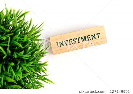 The concept word INVESTMENT. Business and spending or investing concept The concept word INVESTMENT. Business and spending or investing concept 127149901