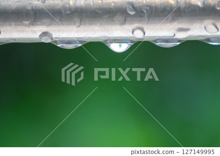 被雨水打濕的棍子上滴下的水滴 127149995