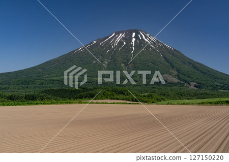 Mt. Yotei with residual snow Mt. Yotei with residual snow 127150220