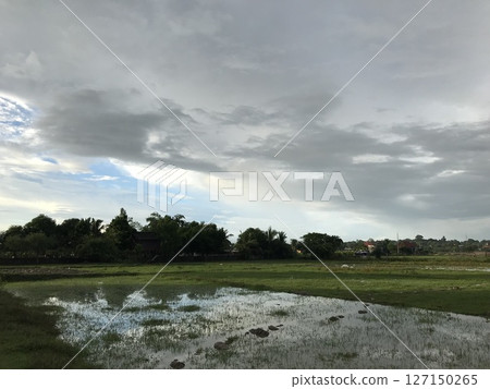 Rural landscape in Vientiane, Laos 127150265