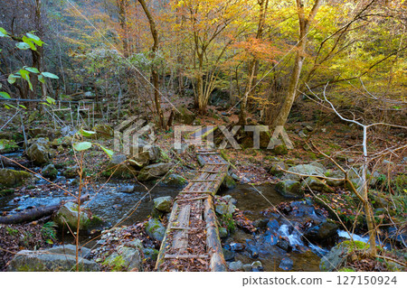 Mountain path and autumn leaves. 127150924