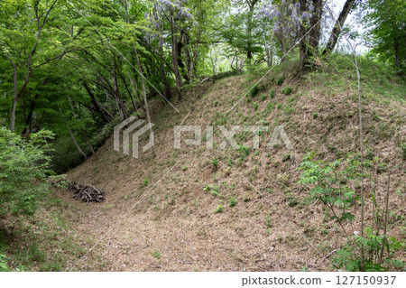 Takiyama Castle: Senjojiki earthworks and surrounding dry moats 127150937