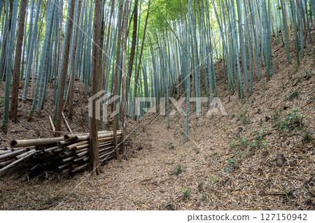 Takiyama Castle: Dry moat around Komiya Kuruwa 127150942