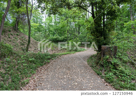 Takiyama Castle Ruins - Main Road Takiyama Castle Ruins - Main Road 127150946