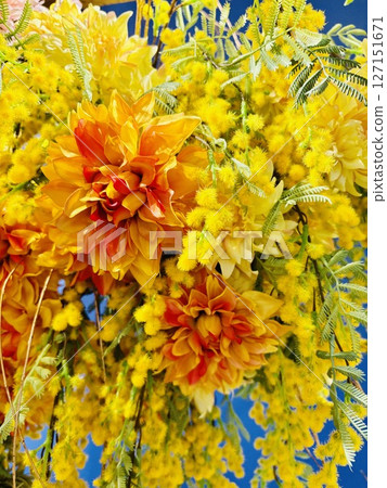 Blue sky and orange dahlia 127151671