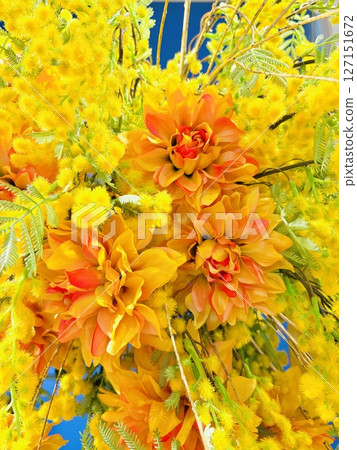 Bright yellow flowers 127151672