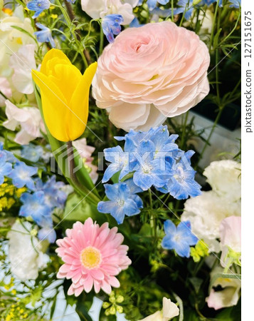 colorful spring flowers 127151675