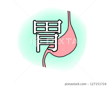 Stomach Stomach 127151728