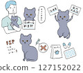 Cat disease FIP explained 127152022