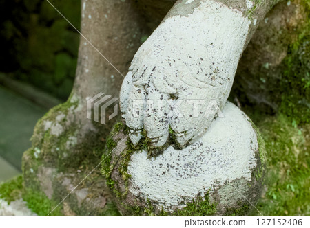 神社裡供奉的獅子狗的一條腿 127152406