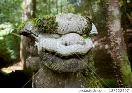 神社內供奉的獅子狗的臉部特寫 127152407