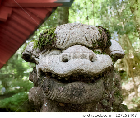 神社內供奉的獅子狗的臉部特寫 127152408