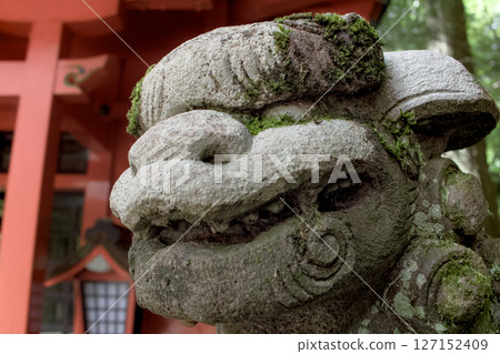 神社內供奉的獅子狗的臉部特寫 127152409