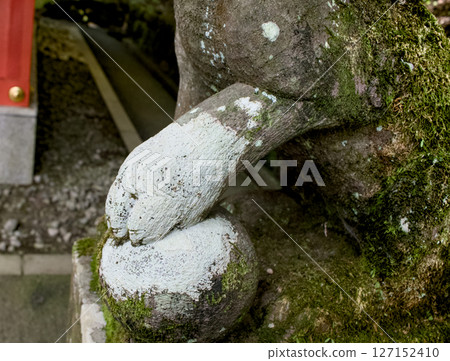 神社裡供奉的獅子狗的一條腿 神社裡供奉的獅子狗的一條腿 127152410