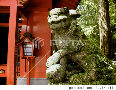 神社裡供奉著威嚴的獅子狗的場景 127152411