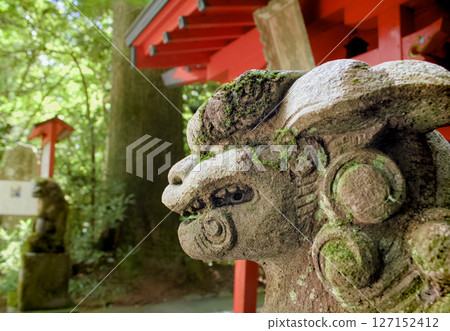 神社內安放的獅子狗的側面像 神社內安放的獅子狗的側面像 127152412