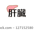 肝 127152580