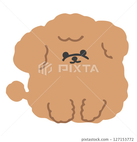 圓圓的、毛茸茸的玩具貴賓犬的可愛插圖 127153772