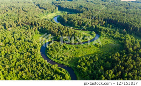 Green snake in a summer tea plantation with rural hills and mountains Green snake in a summer tea plantation with rural hills and mountains 127153817