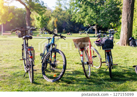 Four bicycles stand on green grass in a sunny park, each equipped with a basket or bag. Bright light and scattered shadows suggest a relaxed afternoon gathering or casual group outing 127155099