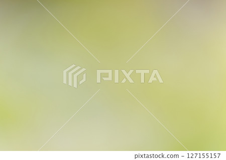背景材料漸變黃綠色 背景材料漸變黃綠色 127155157