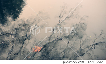 水面上倒映著樹影 127155564