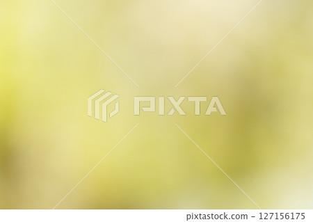 Background material gradation yellow green 127156175