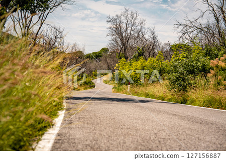 Winding Country Road In Slovenia: Quiet Asphalt Path Curving Through Grassy Verges, Wildflowers, And Forested Hills Under Bright Summer Sunlight Winding Country Road In Slovenia: Quiet Asphalt Path Curving Through Grassy Verges, Wildflowers, And Forested Hills Under Bright Summer Sunlight 127156887