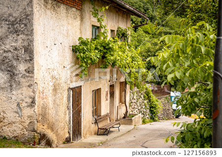 Rustic Street Scene In Vipava, Slovenia: Old Stone House With Wooden Doors And A Bench Beneath Overhanging Green Vines Along A Quiet Winding Lane In The Countryside 127156893