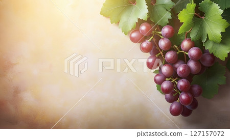 Fresh red grapes hanging on a vine with green leaves in warm sunlight Fresh red grapes hanging on a vine with green leaves in warm sunlight 127157072
