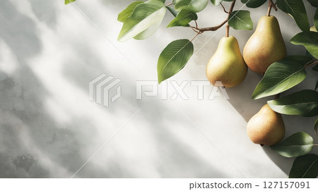 Pears on a branch with soft shadows on a white background 127157091