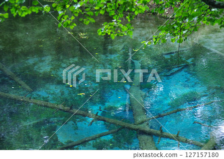 北海道斜裡郡神子池 127157180