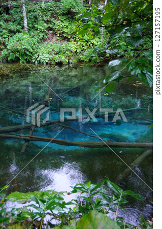 北海道斜裡郡神子池 127157195