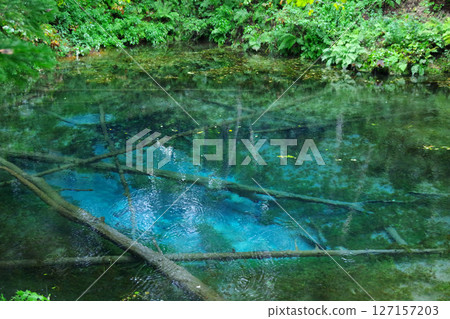 北海道斜裡郡神子池 127157203