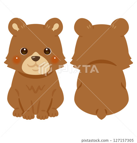 一組坐著的熊的正面和背面插圖 127157305