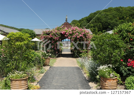 熊山英式花園 22 熊山英式花園 22 127157367