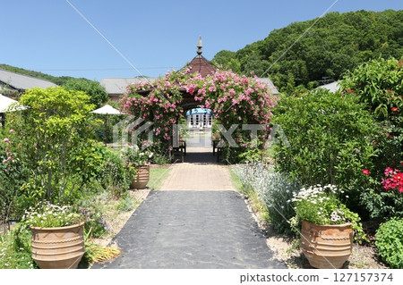 熊山英式花園 15 熊山英式花園 15 127157374