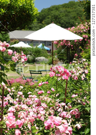 Kumayama English Garden 8 Kumayama English Garden 8 127157381