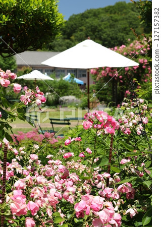 Kumayama English Garden 7 Kumayama English Garden 7 127157382