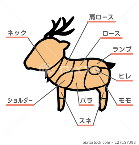 鹿肉部位插圖及文字 鹿肉部位插圖及文字 127157398