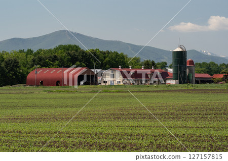 Land with a view of the silos Land with a view of the silos 127157815